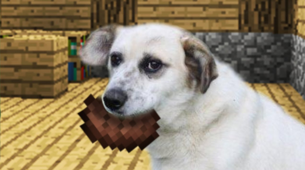 不少小伙伴都有着这样一个相同点,在mc中会养一个狗狗宠物,在现实中呢