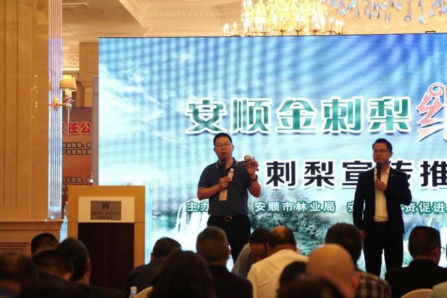 洞察市场风向标 安顺品牌网引领行业新趋势