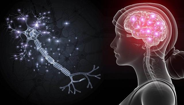 神经网络|宇宙是一个神经网络，物理学家重新定义现实，引发争议