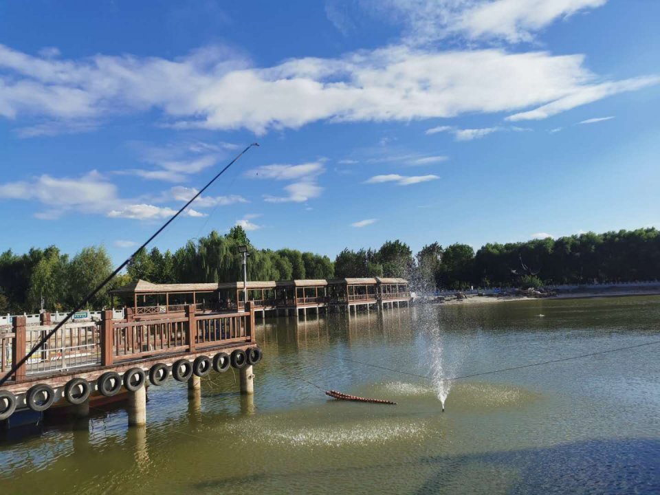 脸呢?保定这个公园又见钓鱼人