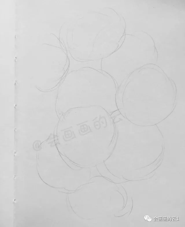 线描|线描雏菊，感觉可爱到溢出屏幕了