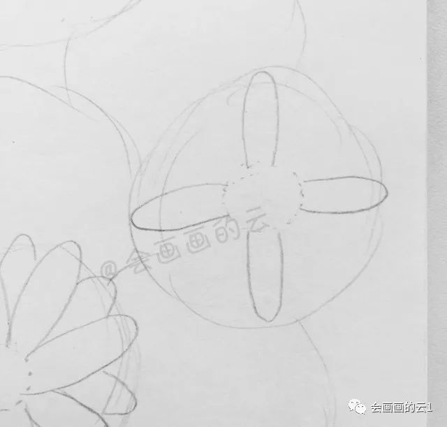 线描|线描雏菊，感觉可爱到溢出屏幕了