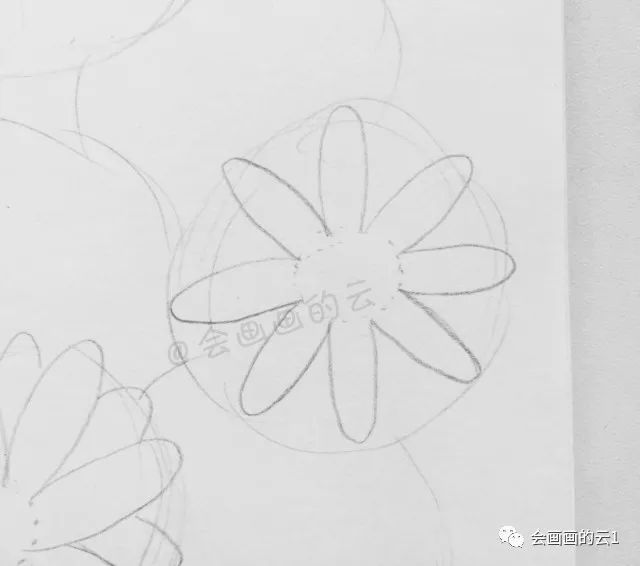 线描|线描雏菊，感觉可爱到溢出屏幕了