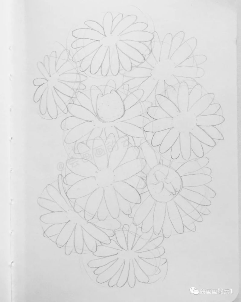 线描|线描雏菊，感觉可爱到溢出屏幕了