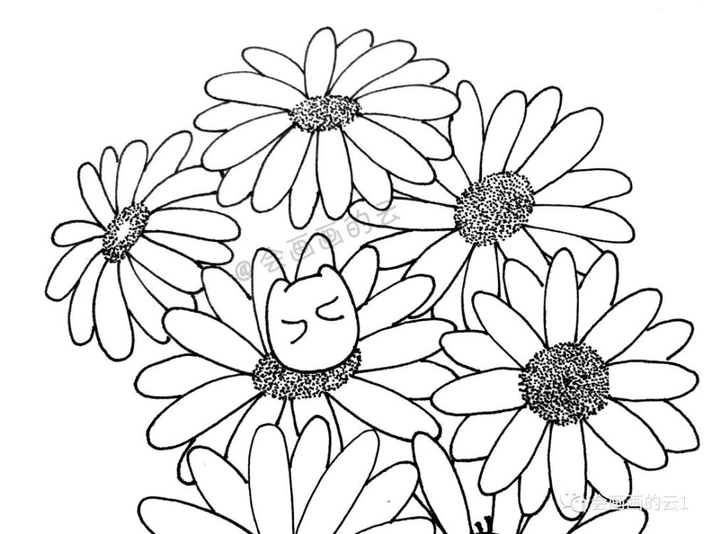 线描|线描雏菊，感觉可爱到溢出屏幕了