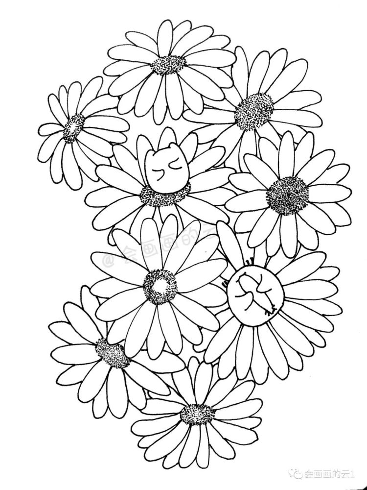 线描|线描雏菊，感觉可爱到溢出屏幕了