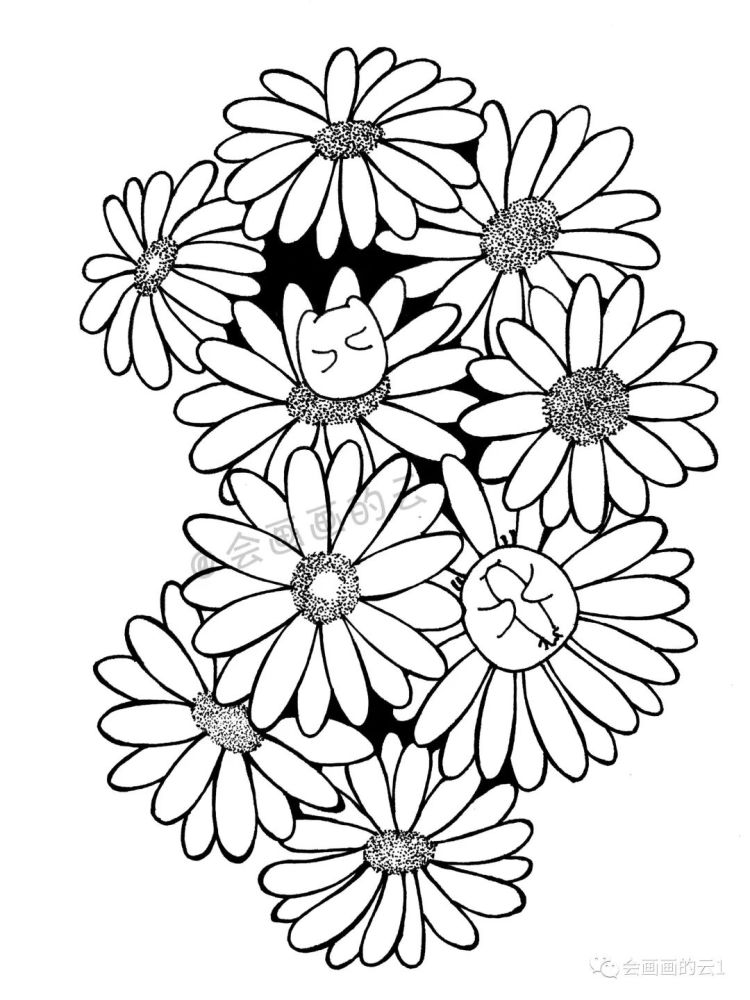 线描|线描雏菊，感觉可爱到溢出屏幕了