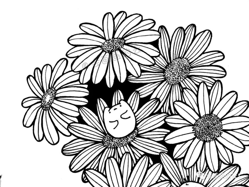 线描|线描雏菊，感觉可爱到溢出屏幕了