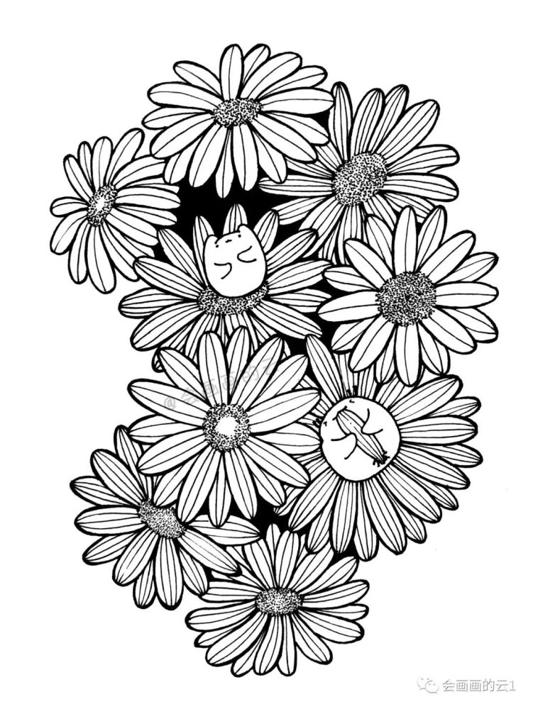 线描|线描雏菊，感觉可爱到溢出屏幕了