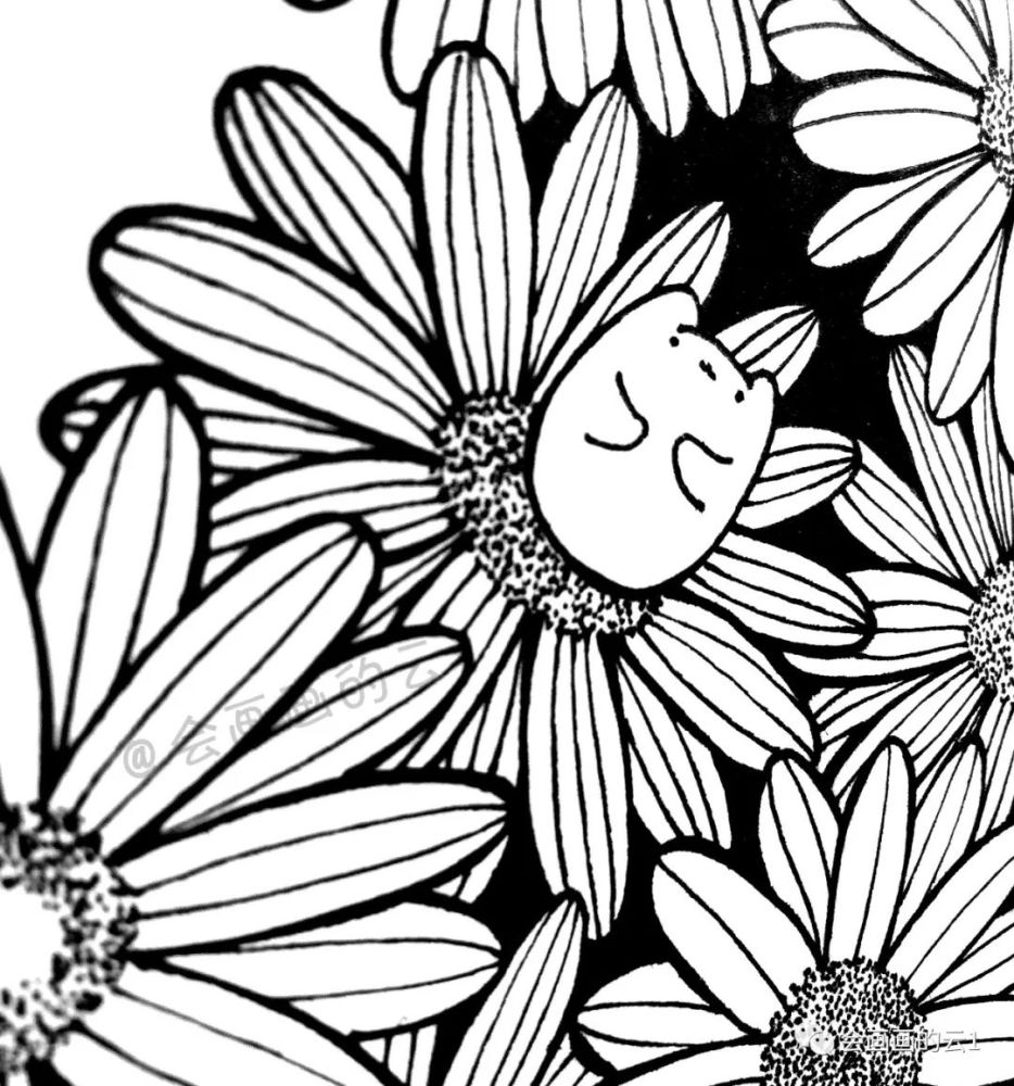 线描|线描雏菊，感觉可爱到溢出屏幕了