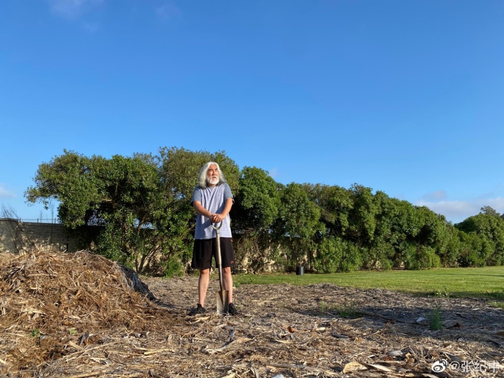 萧亚轩|老当益壮！70岁名导再当爸，与萧亚轩成“南萧北张”格局