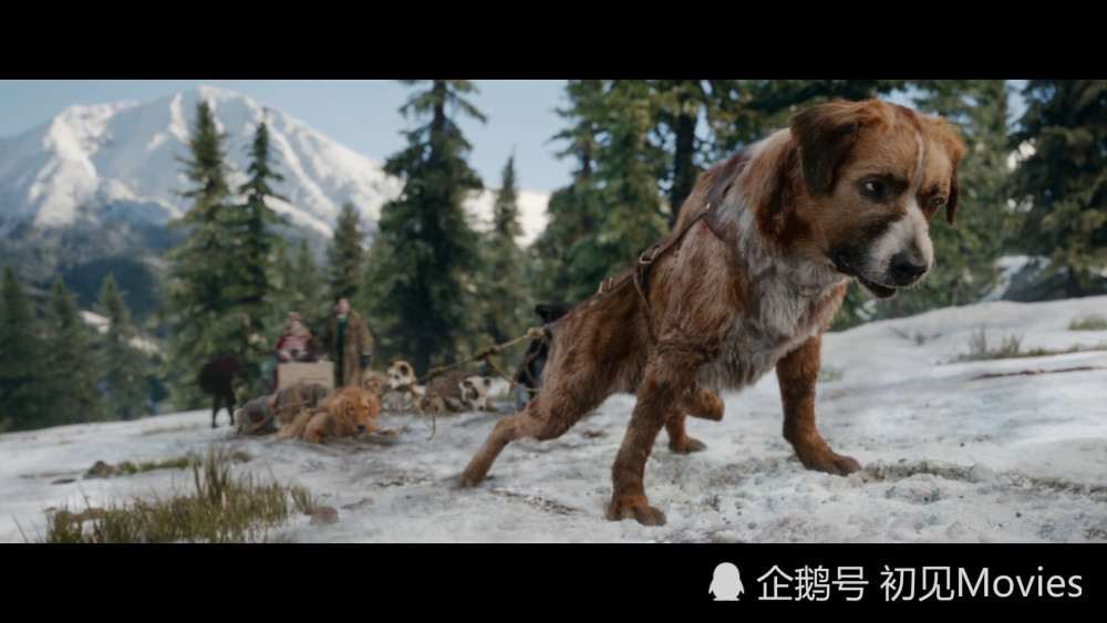 解读电影野性的呼唤