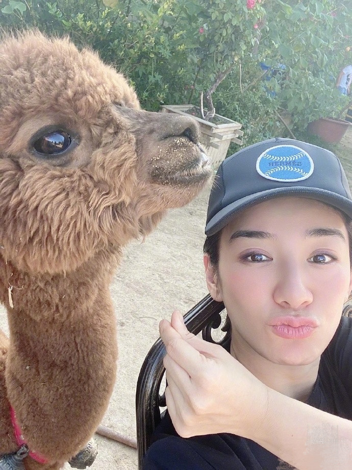 黄奕|黄奕晒照庆祝44岁生日，甜笑比心少女感十足，被鲜花簇拥美若仙子