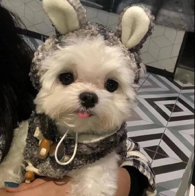 宝藏头像才十几岁放肆闪耀还来得及