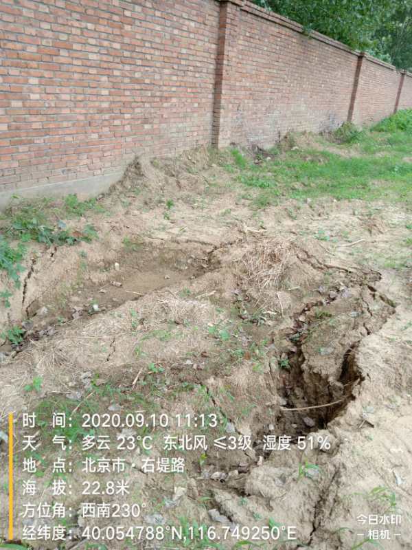 农用地|说好的复耕呢？京郊百亩农用地仍只见野草不见苗