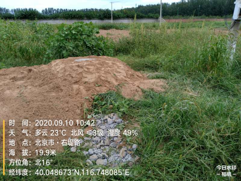 农用地|说好的复耕呢？京郊百亩农用地仍只见野草不见苗