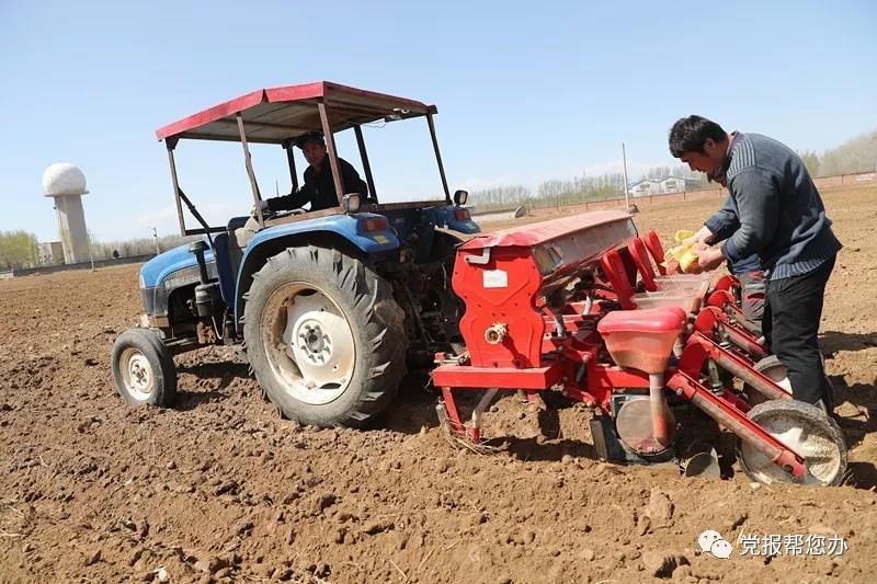 农用地|说好的复耕呢？京郊百亩农用地仍只见野草不见苗
