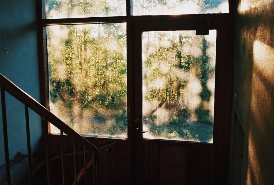 张枣|只要想起一生中后悔的事，梅花便落了下来