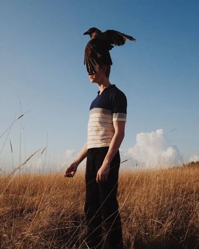 张枣|只要想起一生中后悔的事，梅花便落了下来