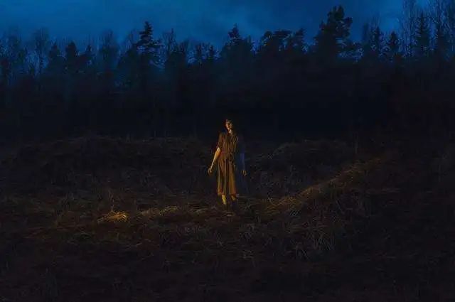 张枣|只要想起一生中后悔的事，梅花便落了下来