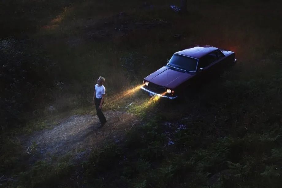 张枣|只要想起一生中后悔的事，梅花便落了下来