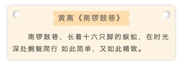 胡同|逛胡同不迷路，感受热闹看懂门道，跟着书本一起“云游”北京胡同！