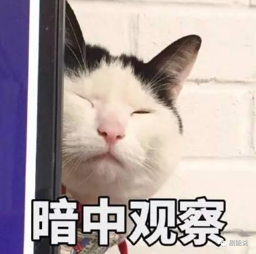 乘风破浪的姐姐|终于！反被抄了一次