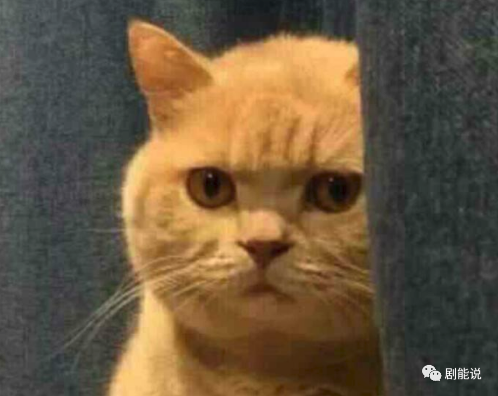 乘风破浪的姐姐|终于！反被抄了一次