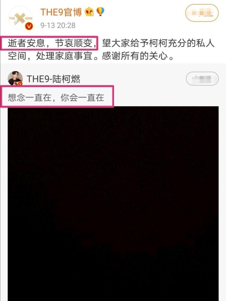 陆柯燃|陆柯燃悼念去世家人，难怪缺席THE9活动，粉丝心疼这95小花