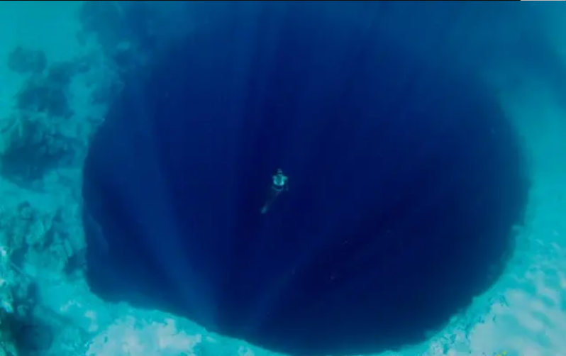 深海恐惧症所害怕的深海图片 腾讯新闻