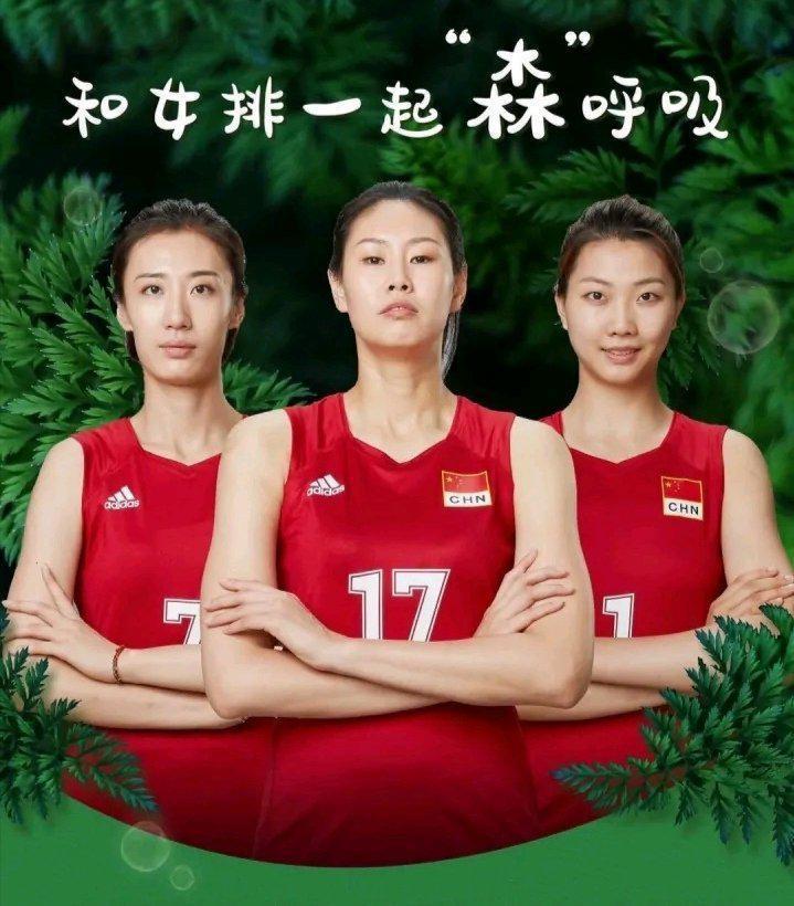 羞答答的玫瑰静悄悄地开!中国女排最新代言海报,低调颜妮站c位