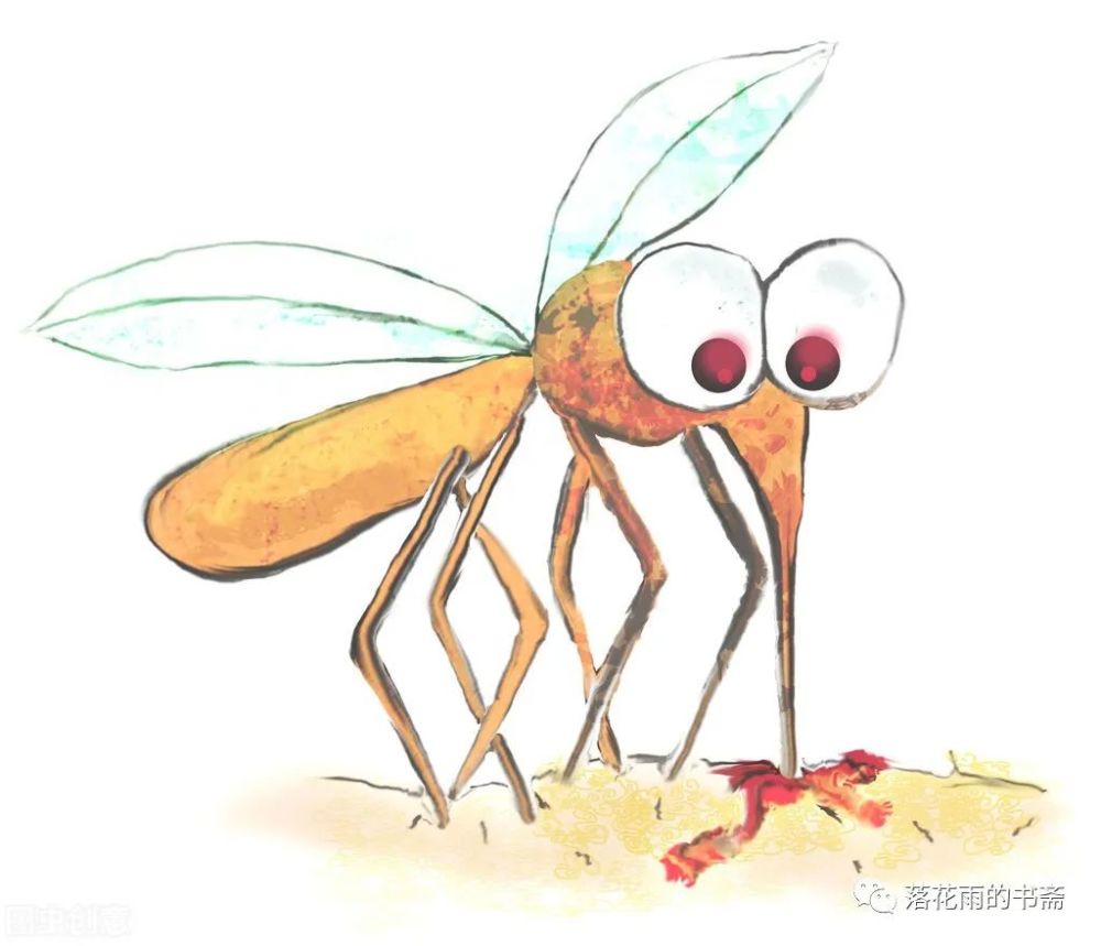 蚊子|蚊子叮过的包，发痒的感觉，其实是“她”的唾液对人体的副作用