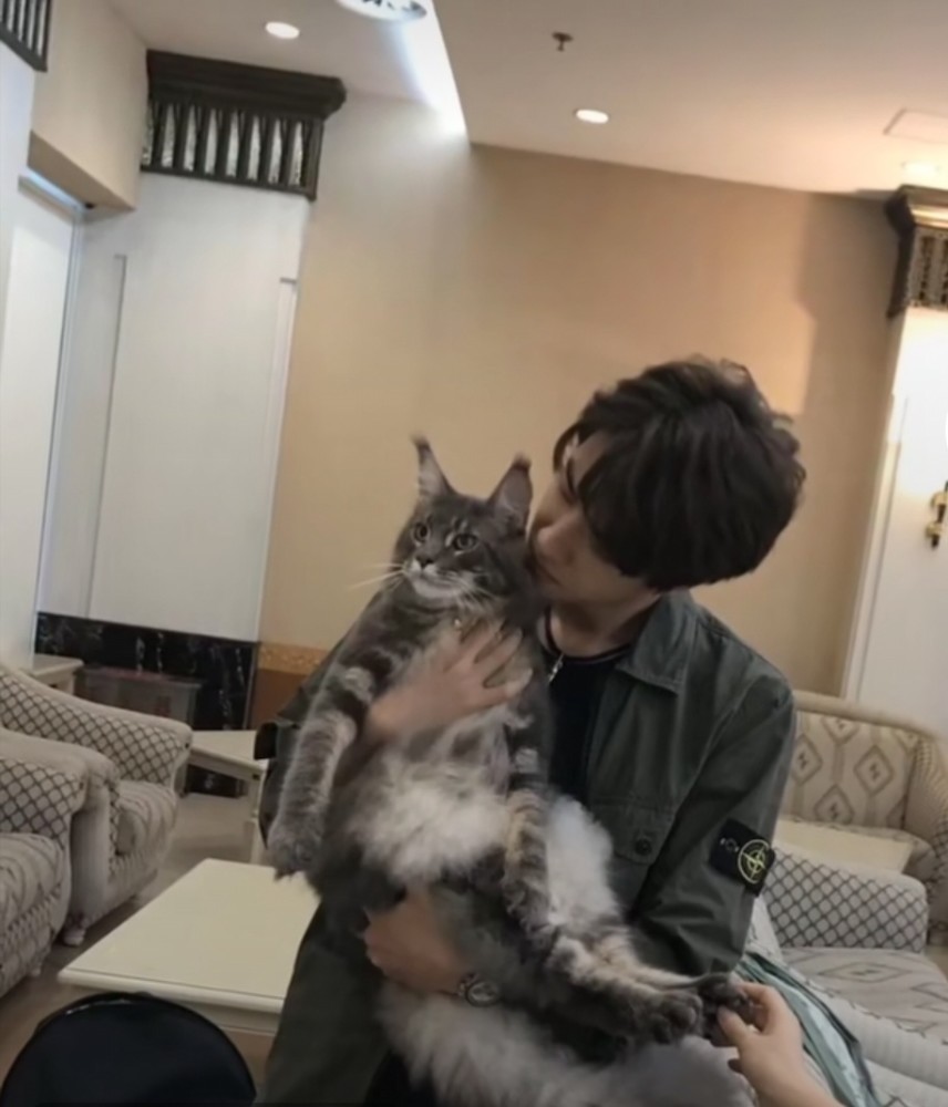 有没有想成为被王一博抱着的猫的