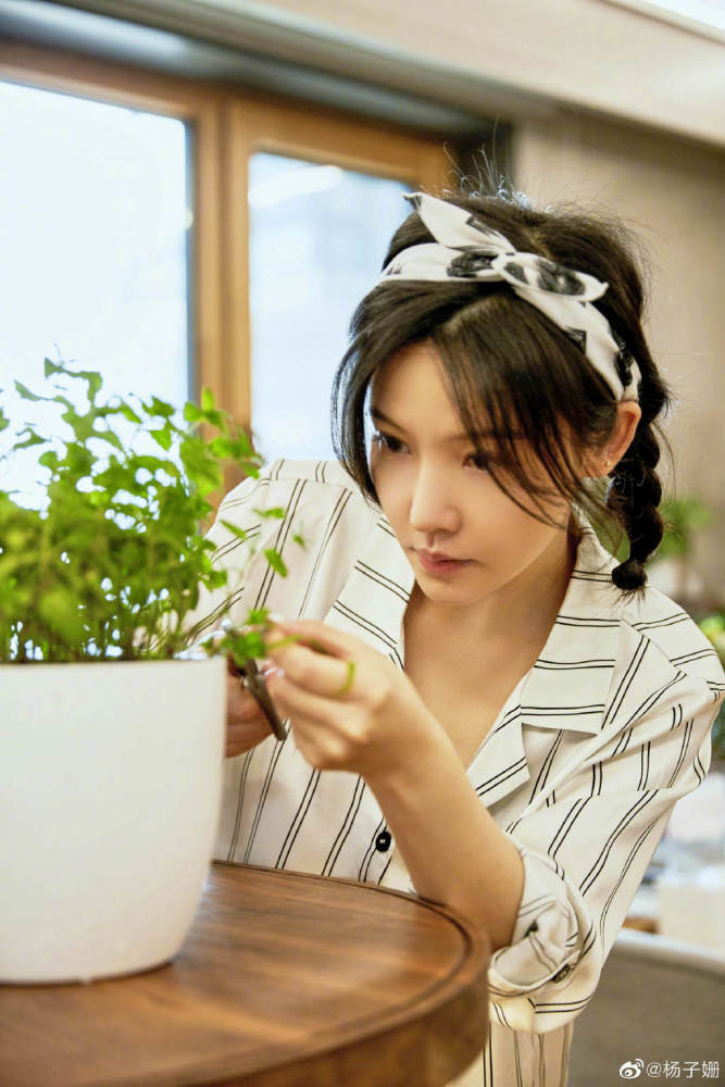 杨子姗|杨子姗崩溃大哭，看到满屋子的摄像焦虑爆发！她的洁癖症惊呆网友
