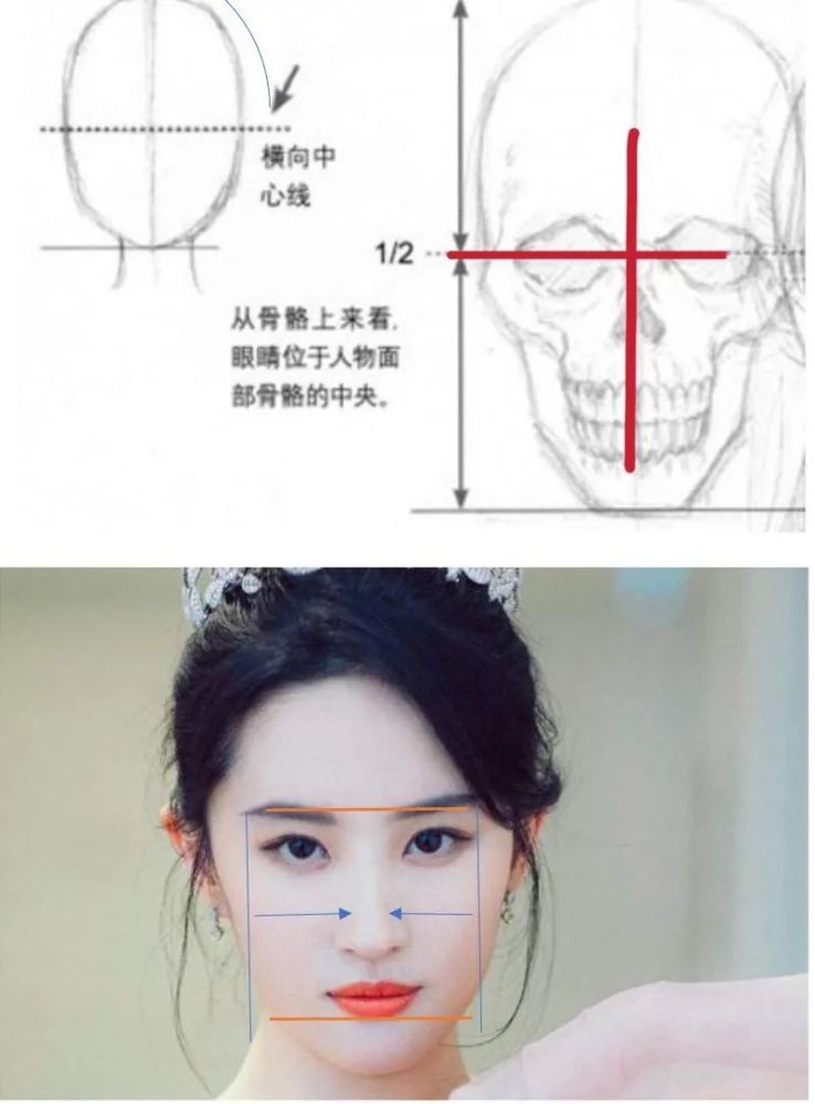 整容|3分到8分，为什么有人是天生适合整容脸？