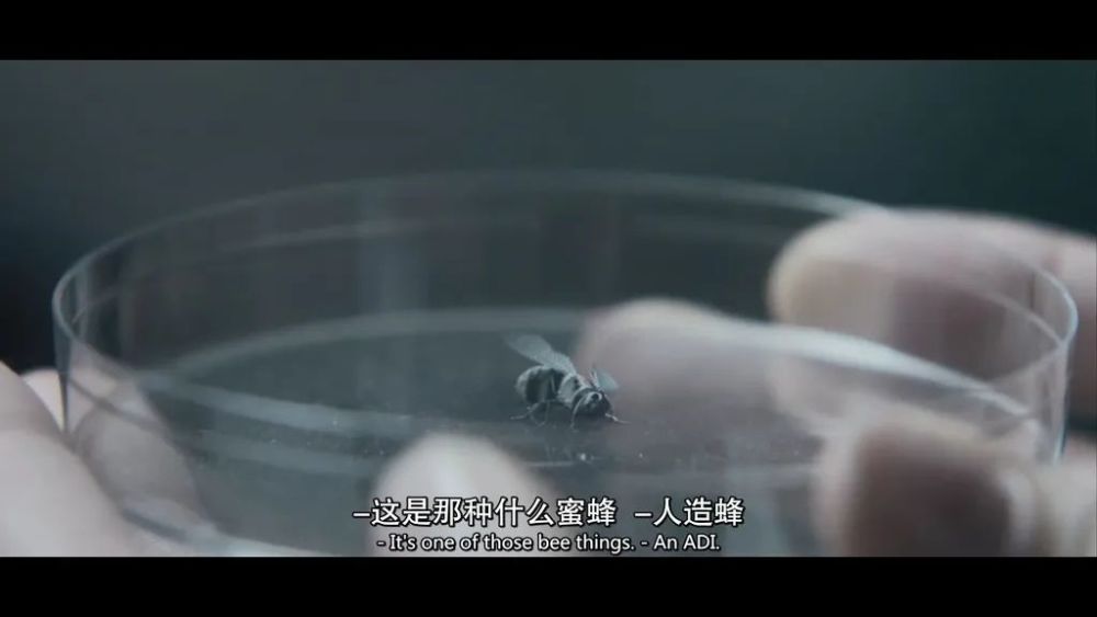 罗翔|连他都被骂出微博，这是你想要的世界么