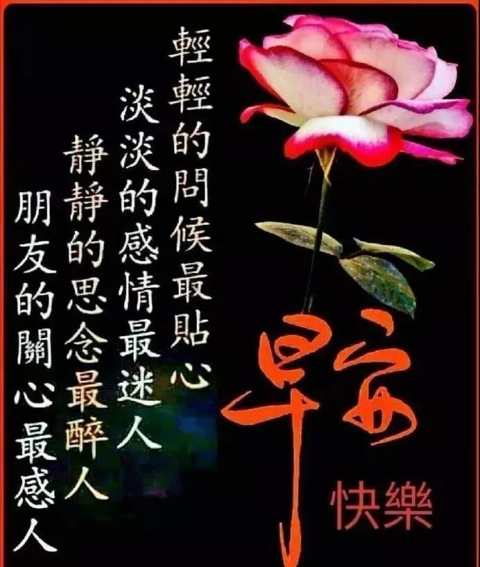 治愈系早上好唯美动态祝福语图片早上好暧心短信祝福语短句