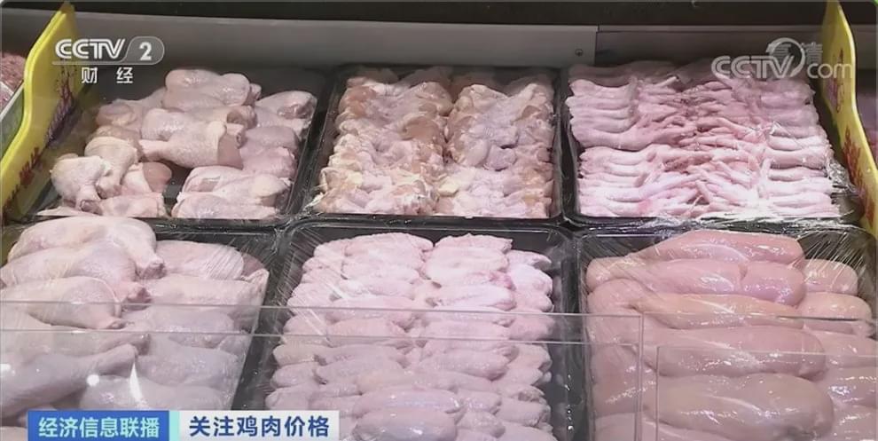 养一只就赔10元！鸡肉要降价了？