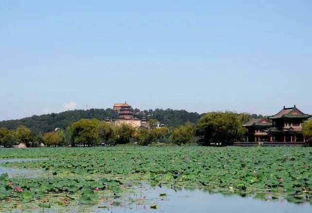 颐和园|天气晴好，秋高气爽，这时是颐和园最美的时候！