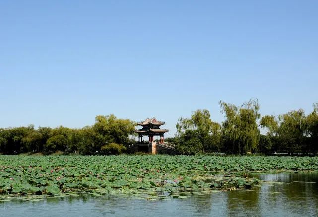 颐和园|天气晴好，秋高气爽，这时是颐和园最美的时候！