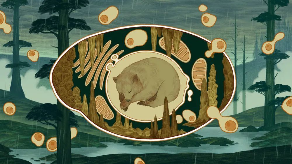 美国|述说心灵的故事的美国女孩