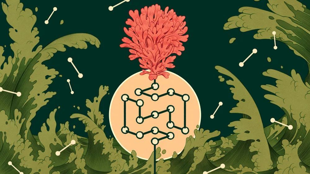 美国|述说心灵的故事的美国女孩