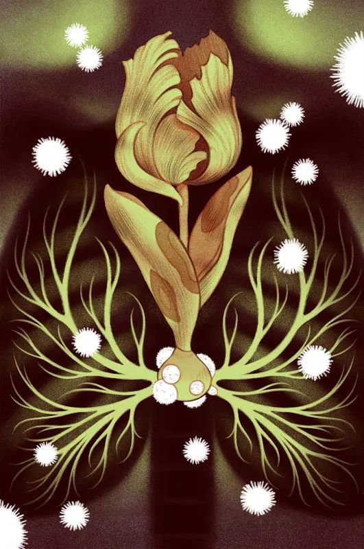 美国|述说心灵的故事的美国女孩