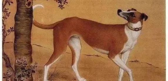 俗语|民间俗语：“头鸡二狗、三猪四羊、五牛六马、七人八谷”，何意？