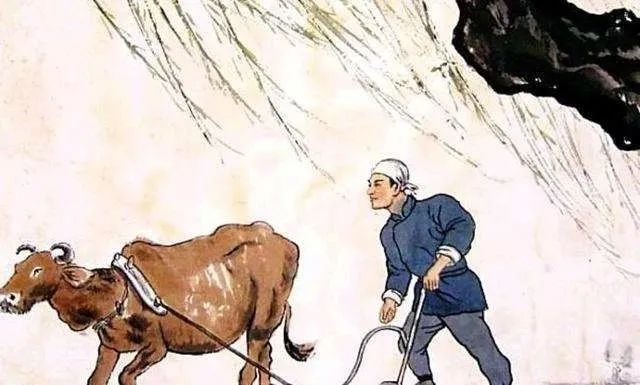 俗语|民间俗语：“头鸡二狗、三猪四羊、五牛六马、七人八谷”，何意？