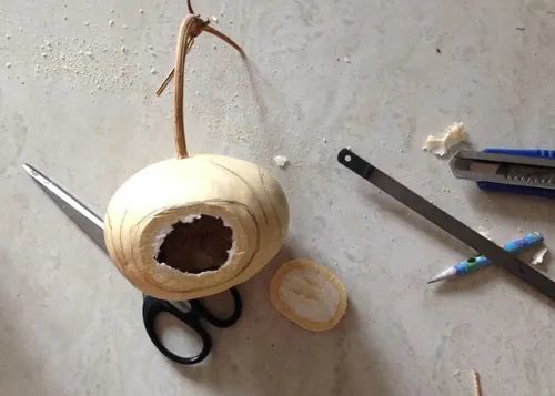 葫芦|巧用柿子葫芦做蝈蝈笼