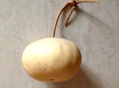 葫芦|巧用柿子葫芦做蝈蝈笼