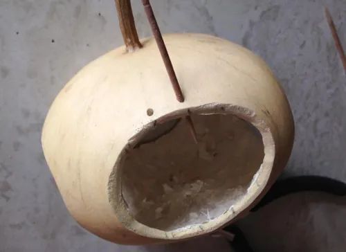 葫芦|巧用柿子葫芦做蝈蝈笼