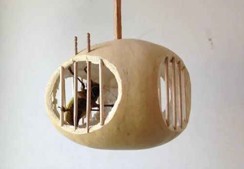 葫芦|巧用柿子葫芦做蝈蝈笼