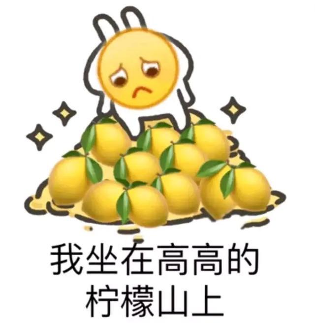 毛丝鼠|养宠还是养爬好，不信你来瞧！